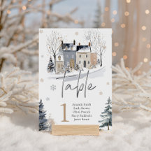 It Takes a Village Winter Baby Shower Collection