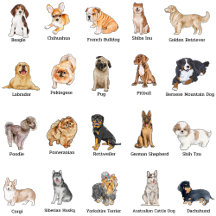 Cats and Dogs