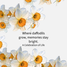 White Daffodil Celebration of Life – Funeral