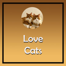 Love Cats