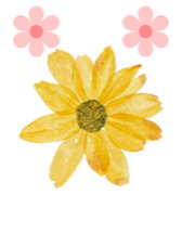 Elegant Flower Design: Exclusive Floral Art 