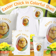 Easter Chick Hatching from Colorful Egg
