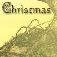 PF Christmas