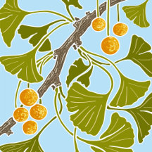 Ginkgo Dance