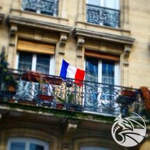 The Francophile Collection