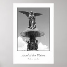 Photographic and Fine Art Posters