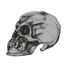 Halloween Skull Session