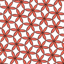 Star Anise Flower