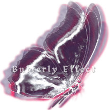 Butterfly Art