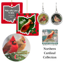 The Northern Cardinal: Favorite State Bird