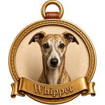 Whippet