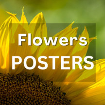 Flowers Photography Posters
