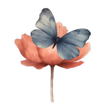 Butterfly Floral & Quote for the Minimalist