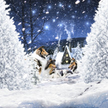 Winter Fairytale - A Magic Christmas Collection