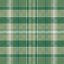 Plaid No. 60