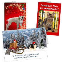 Dog & Cat Christmas Cards
