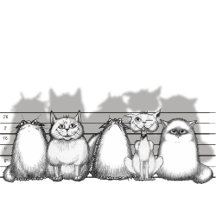 Criminal Cats
