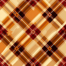 Autumn plaid charming
