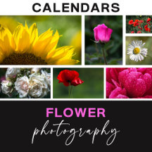 Flower Photography Calendars