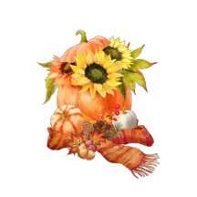 Pumpkins & Scarf & Sunflowers