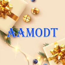 Aamodt_Name T-Shirt