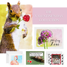 Best Floral and Animal Valentine's Cards and More