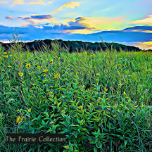 The Prairie Collection