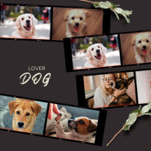 Dog Lover