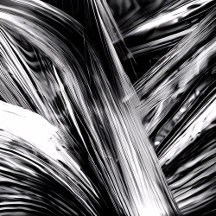 New Black and White Designs