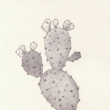 The Prickly Botanical Series