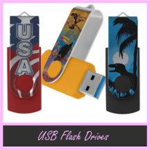 USB Flash Drives