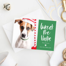 Pet Holiday Cards
