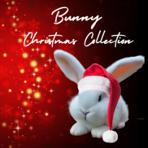 Bunny Christmas Collection