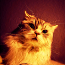 "Lola Ginger" Kitty Collection