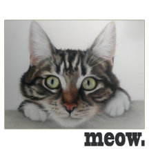 Cat Theme