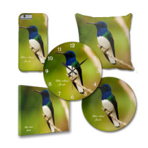 The Jacobin Collection