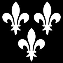 Kingdom of Lilies: Medieval French Flags
