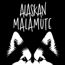 Alaskan Malamute Dog