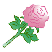 Beautiful roses for Mother's Day