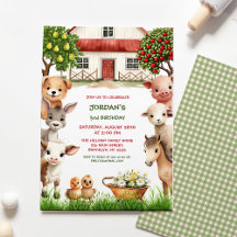 Kids Birthday Party Farm Animals