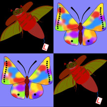 Bugs and Butterflies