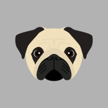 Fawn Pug