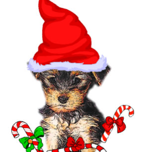 Yorkshire Terrier Christmas Holiday Card