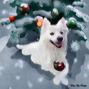American Eskimo Dog Christmas Holiday Card