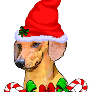 Dachshund Lovers  Christmas Holiday Card