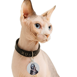 Médaillon Pour Animaux Chat Sphynx Sans Poils Alien Nom Personnalisé Étiq