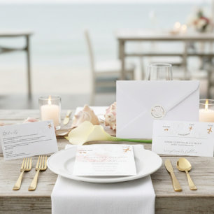 Wedding Save the Date travel flight plane