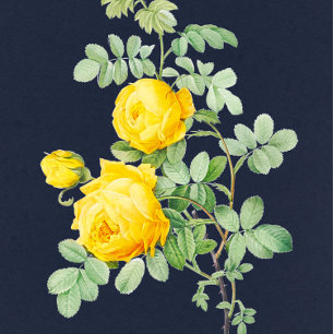 Invitation Marine et Rose jaune Mariage romantique