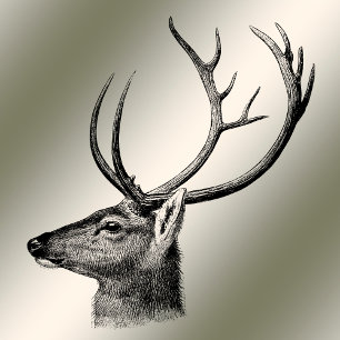 Christmas Greeting Floral Reindeer Golden Winter Holiday Card