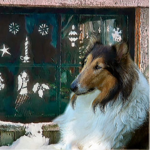 Christmas Collie at Window Holiday Card